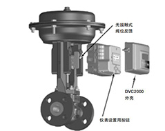 GX �Ϳ����y